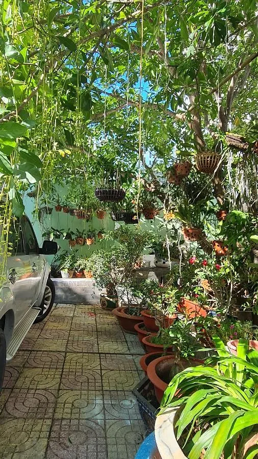 Thanh Hai Homestay Vung Tau