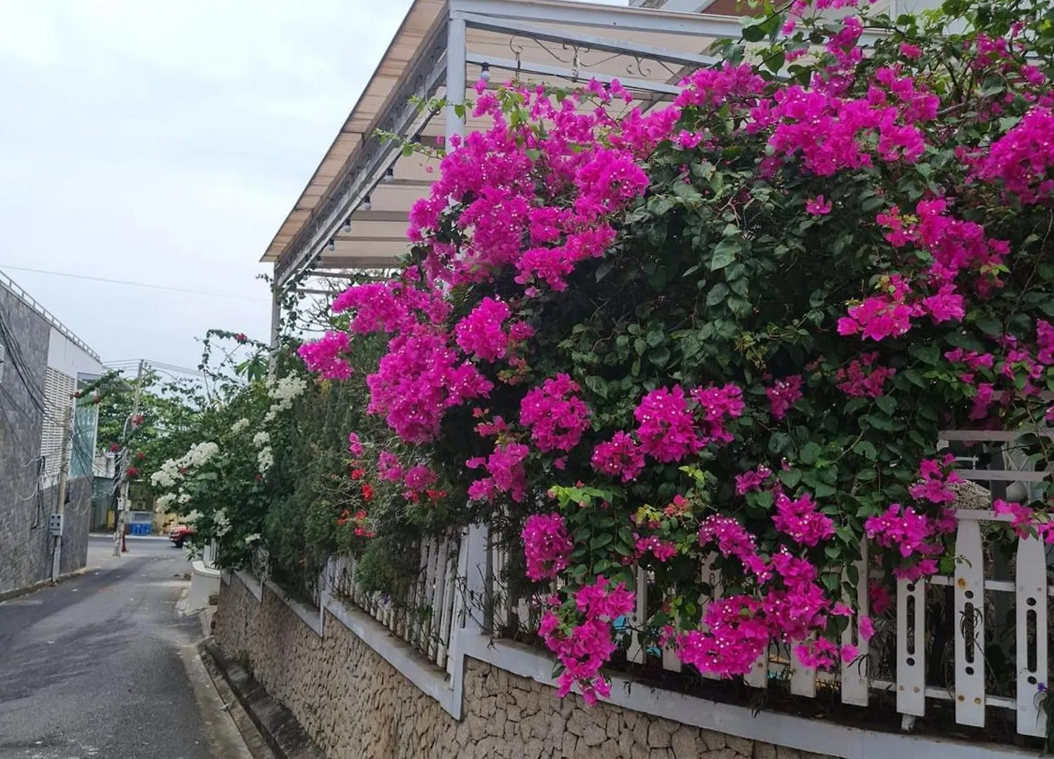 Thanh Hai Homestay Vung Tau 0*,  Vietnam